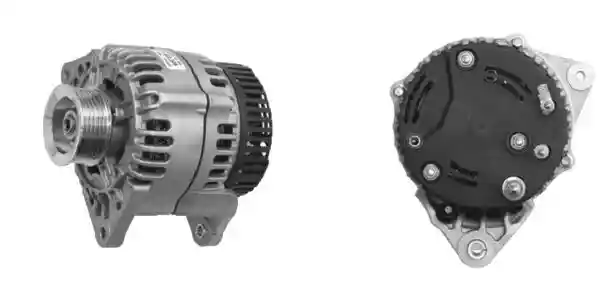 MAHLE MG 306