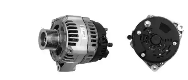 MAHLE MG 30