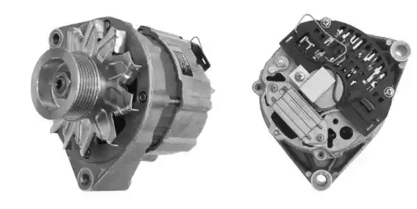 MAHLE MG 421