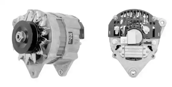 MAHLE MG 424