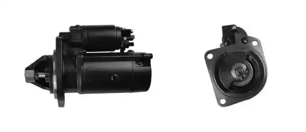 MAHLE MS 207