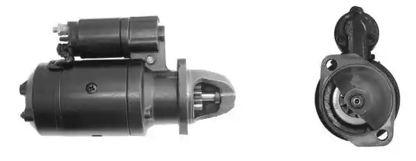 MAHLE MS 250