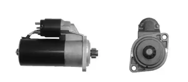 MAHLE MS 252