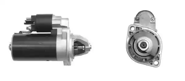 MAHLE MS 298