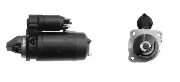 MAHLE MS 315