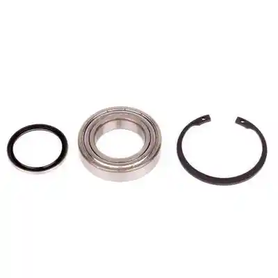 MAHLE MSX 481KIT