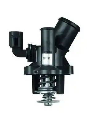 MAHLE TM 17 98 S