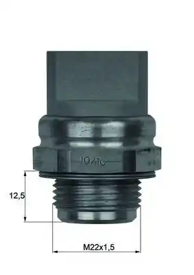 MAHLE TSW 31