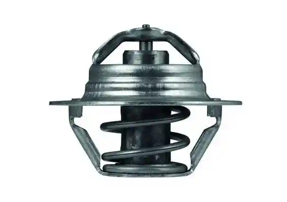 MAHLE TX 100 89D