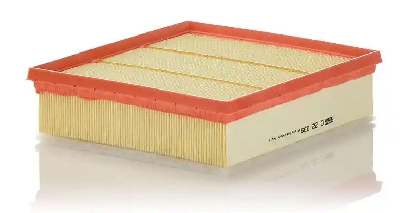 MANN-FILTER C 22 039