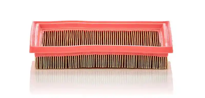 MANN-FILTER C 2244