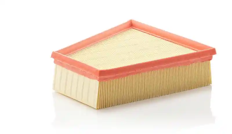 MANN-FILTER C 2295/2