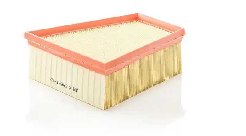 MANN-FILTER C 2295/3