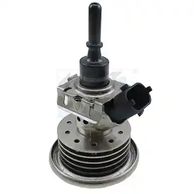 MEAT & DORIA 73008