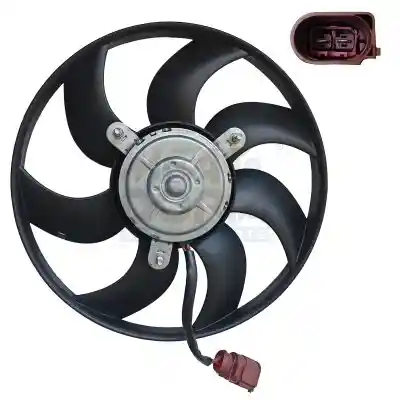 MEAT & DORIA 996006