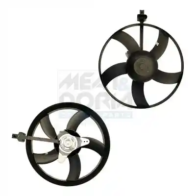MEAT & DORIA 996024