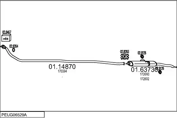 MTS PEUG06529A012620