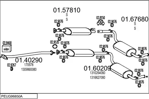 MTS PEUG96850A014866