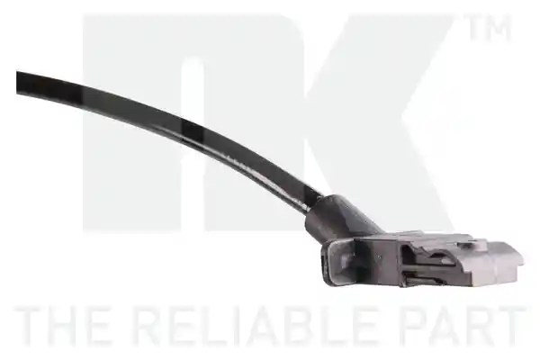 NK 299941