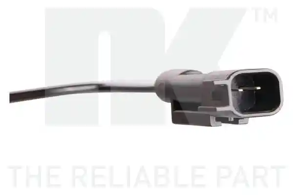 NK 299941