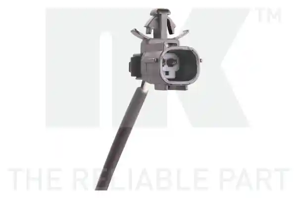 NK 299952