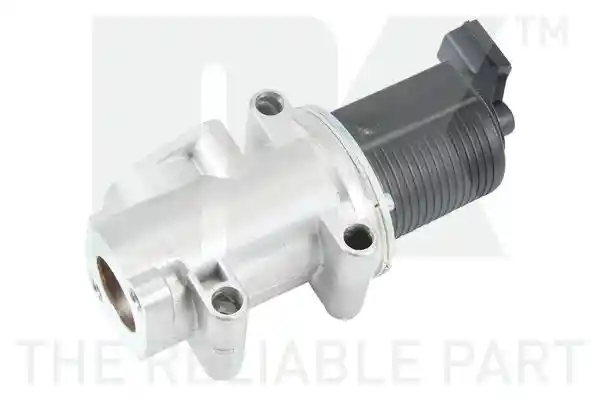 NK 4599019