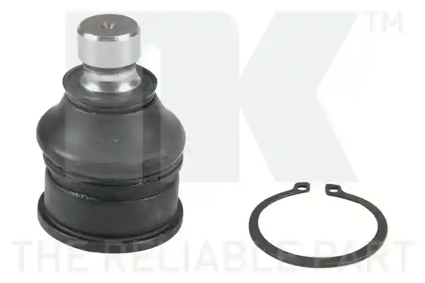 NK 5049901