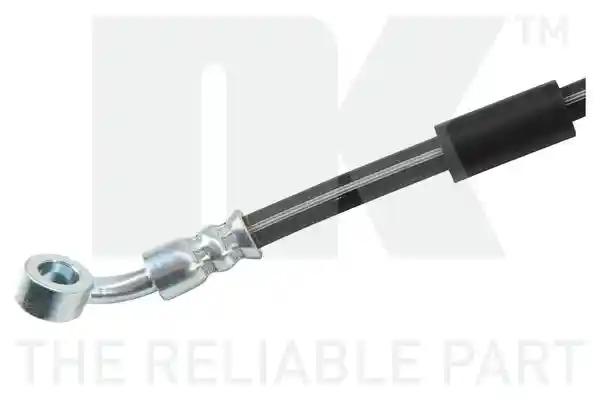 NK 855219