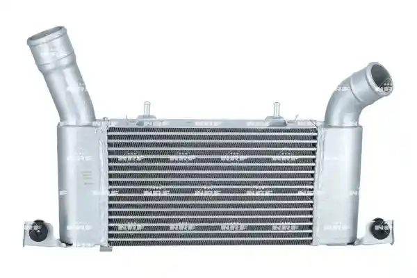 NRF 309098