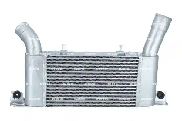 NRF 309098