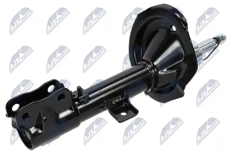 NTY A-MS-004