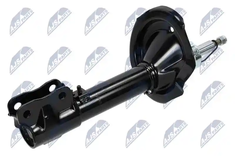 NTY A-MS-005