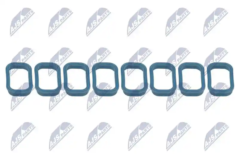 NTY BKS-FR-010