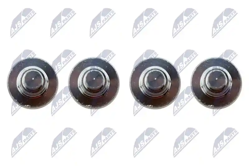 NTY BKS-PL-009