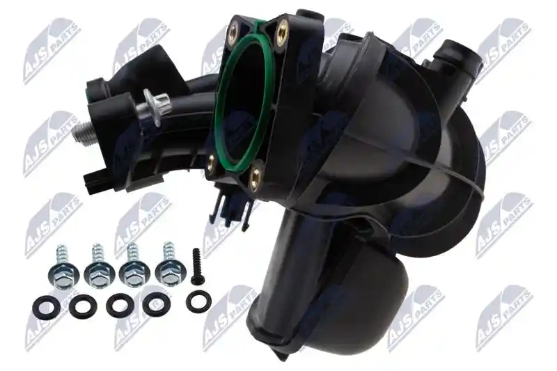 NTY BKS-PL-017