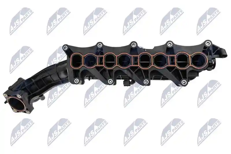 NTY BKS-PL-018