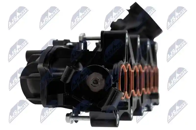 NTY BKS-PL-018