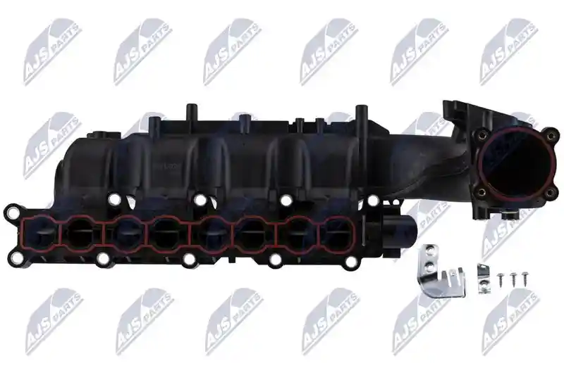 NTY BKS-PL-020