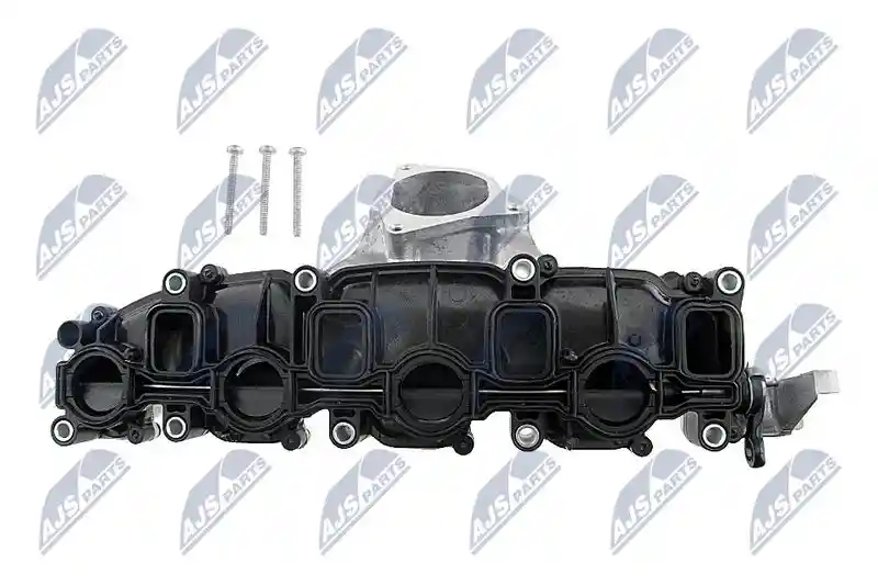 NTY BKS-WW-000