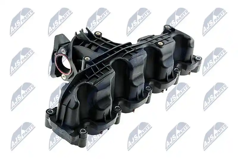 NTY BKS-WW-004