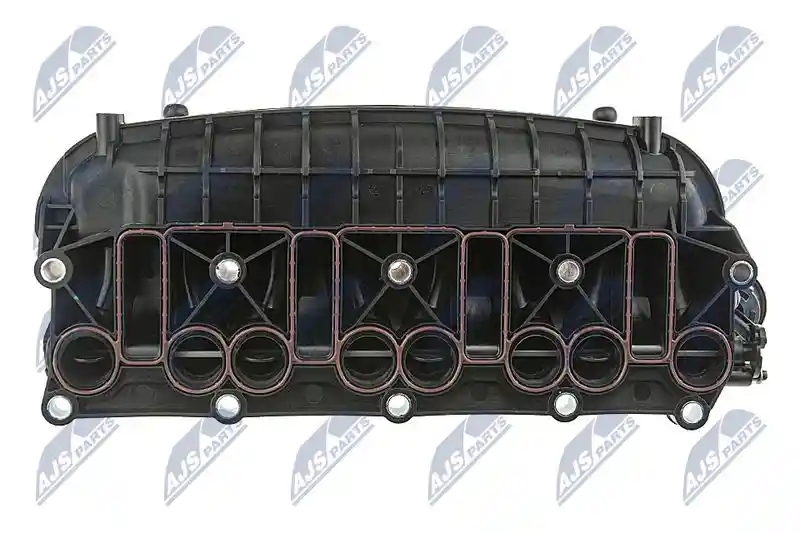 NTY BKS-WW-012