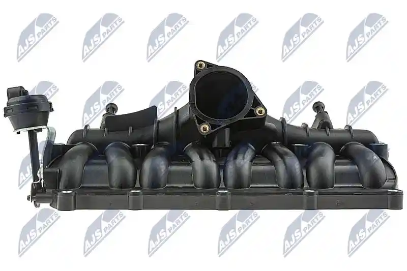 NTY BKS-WW-012