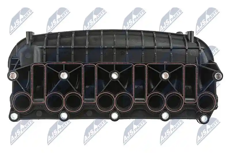 NTY BKS-WW-015