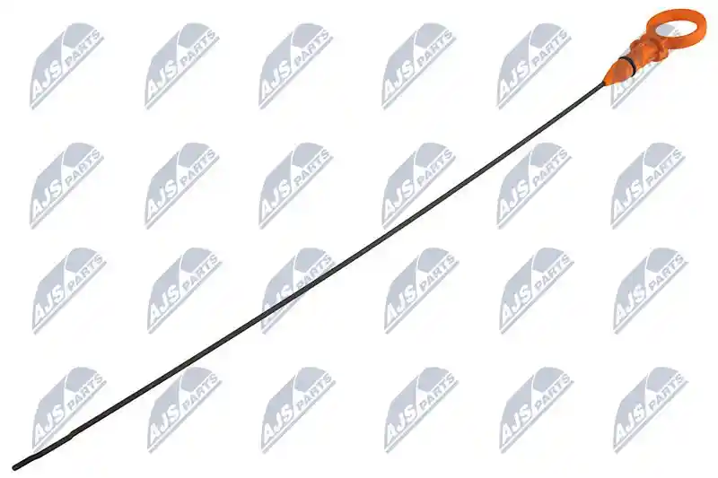 NTY BOL-WW-019