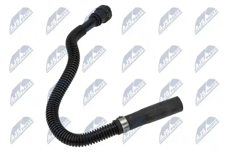 NTY BPP-CT-029