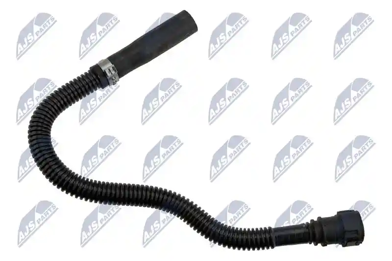 NTY BPP-CT-029