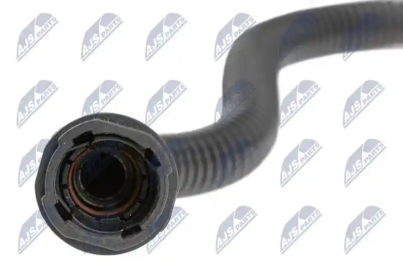 NTY BPP-CT-029