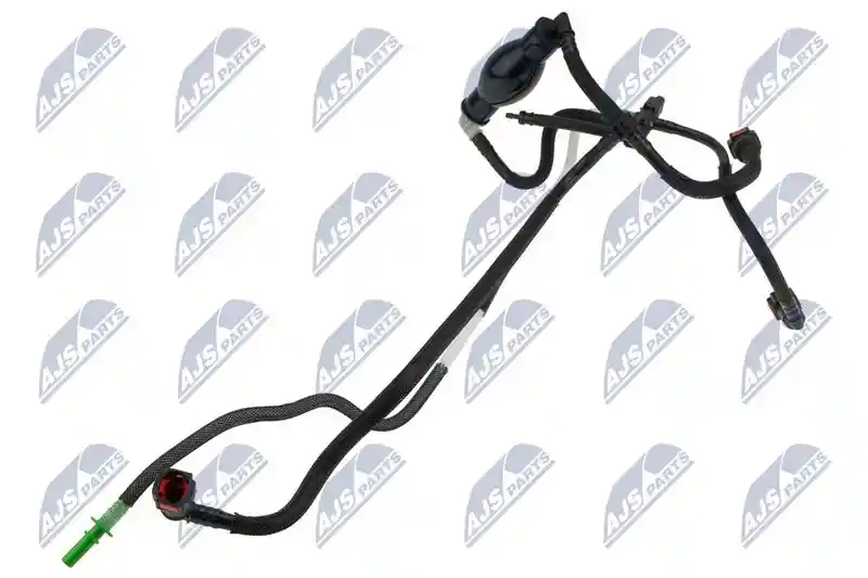 NTY BPP-CT-031