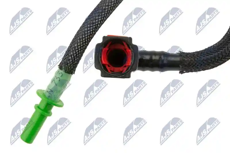 NTY BPP-CT-031