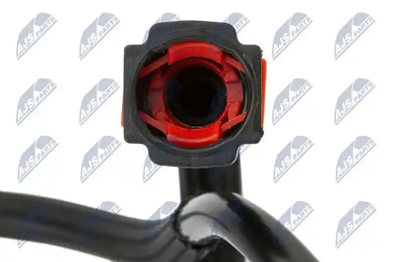 NTY BPP-CT-031